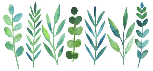 Set Aus Grünen Blättern Und Zweigen Aquarell Illustriert Kollektion Für — Stockfoto