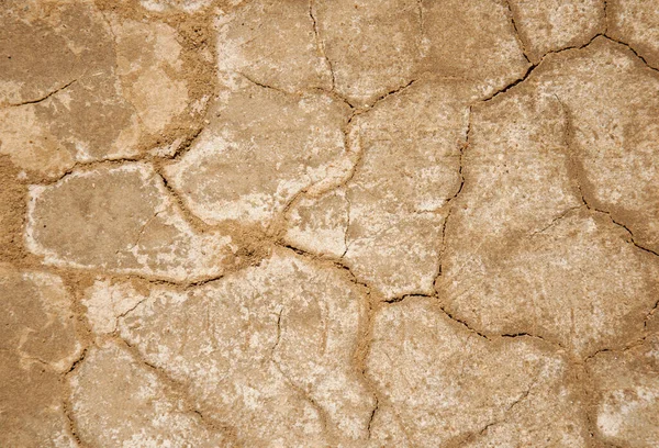Suelos Áridos Bajo Sol Abrasador Sequía Mundial — Foto de Stock