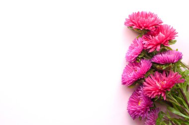 Beyaz arka planda pembe astar çiçeklerinden oluşan güzel bir buket. Çiçekler yemyeşil. Mesaj için yer. Düz yatıyordu