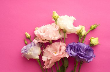 Beautiful pink and purple eustoma flowers (lisianthus) in full bloom with green leaves. Bouquet of flowers on a pink bright background.	