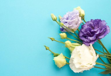Beautiful purple and white eustoma flowers (lisianthus) in full bloom with green leaves. Bouquet of flowers on a blue background.	