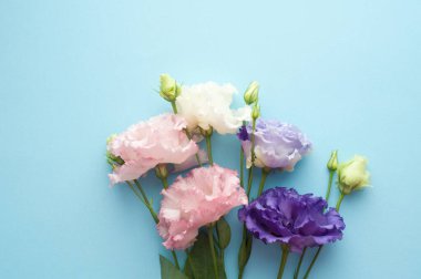 Beautiful purple and white eustoma flowers (lisianthus) in full bloom with green leaves. Bouquet of flowers on a blue background.	