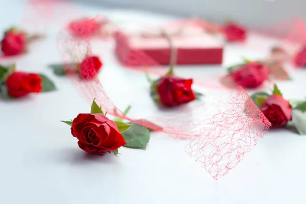 Belas rosas e caixa de presente no fundo claro — Fotografia de Stock