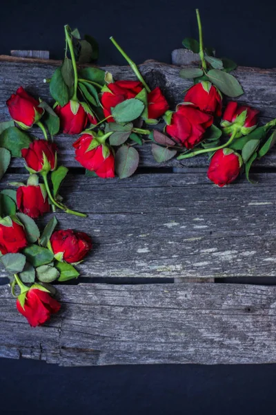 Kırmızı solmuş gül kesti. Üstten Görünüm, koyu arka plan.