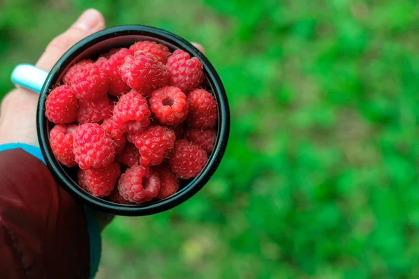 metal bir kupa olgun ahududu. çilek yaz hasat. üst görünüm, metin için alan