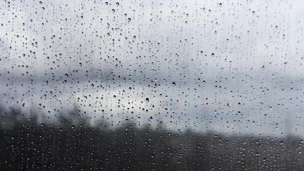 En la calle la lluvia cae sobre los rollos de vidrio . — Vídeo de stock