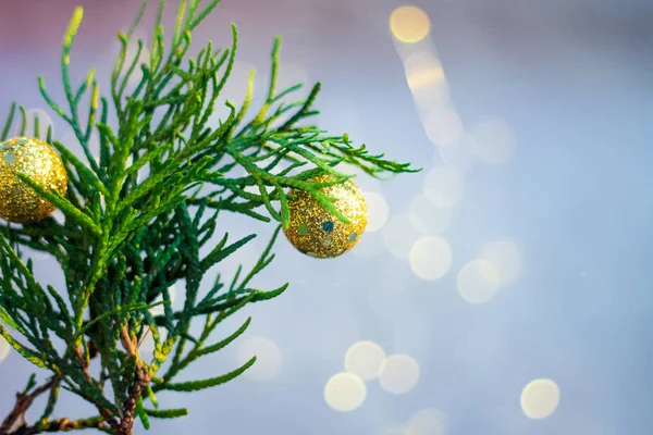 Arborvitae, Weihnachtskugeln, Bokeh Hintergrund. Weihnachtskarte. — Stockfoto
