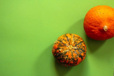 yeşil bir arka plan üzerinde iki parlak renkli kabaklar. metin için alan, üst görünüm.