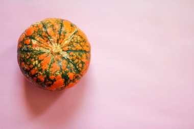 pembe bir arka plan üzerinde bir parlak turuncu-yeşil kabak. metin için alan, üst görünüm.