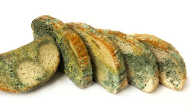 Küfle kaplı ekmek, bozulmuş buğday ekmeği. Çok renkli bir kalıbın yakın plan fotoğrafı.