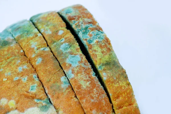 Bread covered with mold, a pile of spoiled wheat bread. Close-up photo of a pattern of multicolored mold.