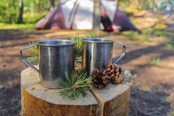 Camper Dans Nature Tasses Fer Touristique Dans Forêt Avec Tisane — Photo