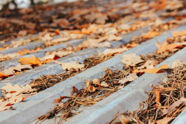 Düşmüş meşe yapraklarıyla kaplı çatının yakın görüntüsü. sonbahar doğa arkaplanı
