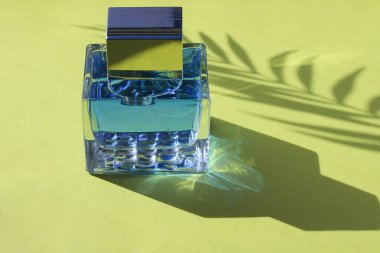 Sarı arka planda bir şişe mavi parfüm şişeden çıkan uzun gölgeler ve parlak gündüz güneşinde bir palmiye dalı..