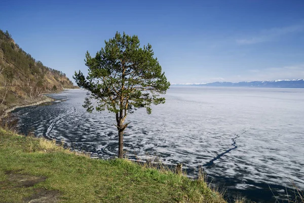 Lente Het Zuiden Van Het Baikalmeer — Stockfoto