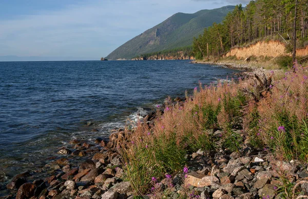 Aan Wal Van Het Baikalmeer — Stockfoto