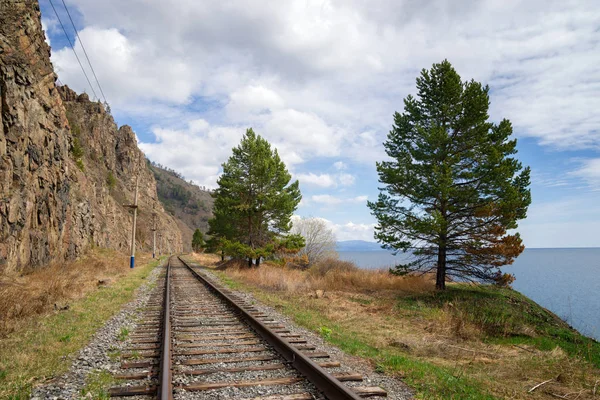 Çevre Baykal Demiryoluna Bahar — Stok fotoğraf