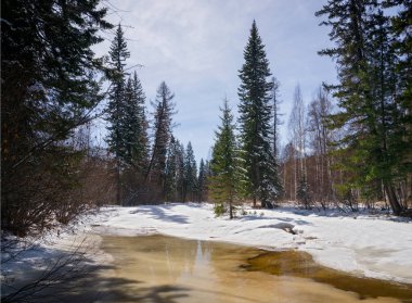Doğu Sibirya Olha bahar Nehri