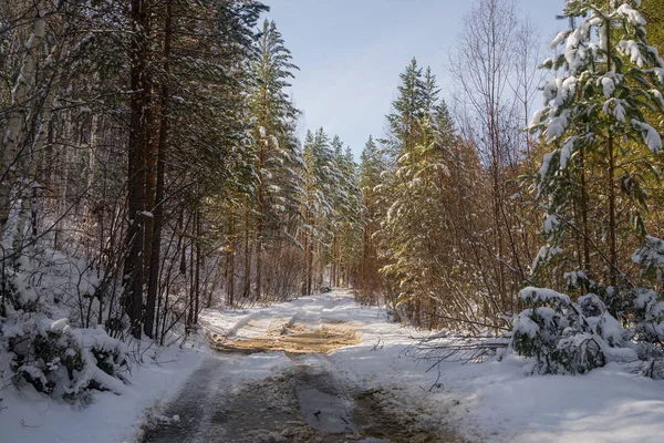 Spring road in Eastern Siberia