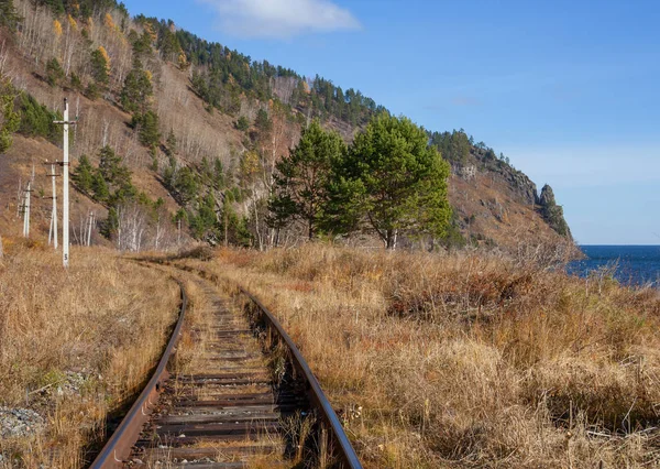 Çevre Baykal Demiryolu Sonbaharda — Stok fotoğraf