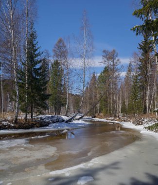 Doğu Sibirya Olha bahar Nehri