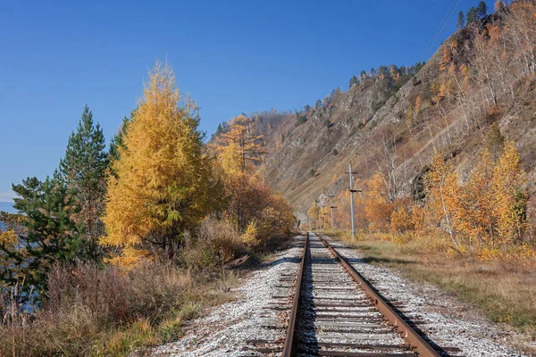 Jesień Okoliczności Bajkał Kolejowe — Zdjęcie stockowe