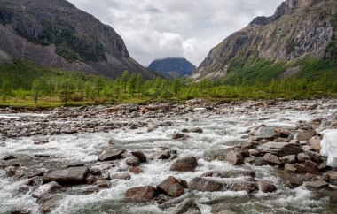 Sibirya, transbaikalia dağlarında kodar Nehri orta sakukan