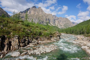 Sibirya, transbaikalia dağlarında kodar Nehri orta sakukan