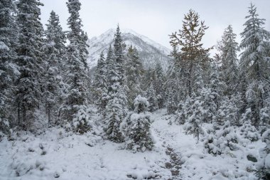 Shumak Nehri Vadisi Tunkinsky Goltsy, Doğu Sayans, Cumhuriyet Buryatia dağlarında