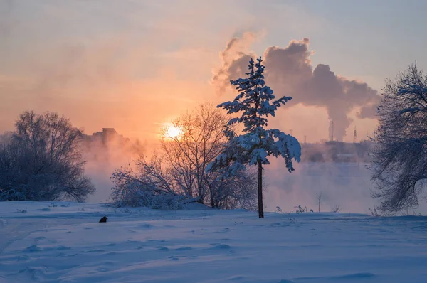 Sunset at the river Angara in the town Irkutsk