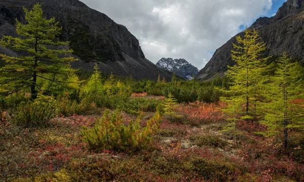 Início Outono Nas Montanhas Kodar — Fotografia de Stock