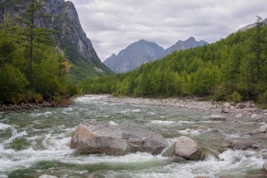 Sibirya, transbaikalia dağlarında kodar Nehri orta sakukan