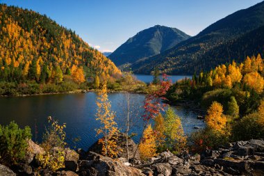 Dağlar sonbahar başında Khamar-Daban Doğu Sibirya'da aralığı