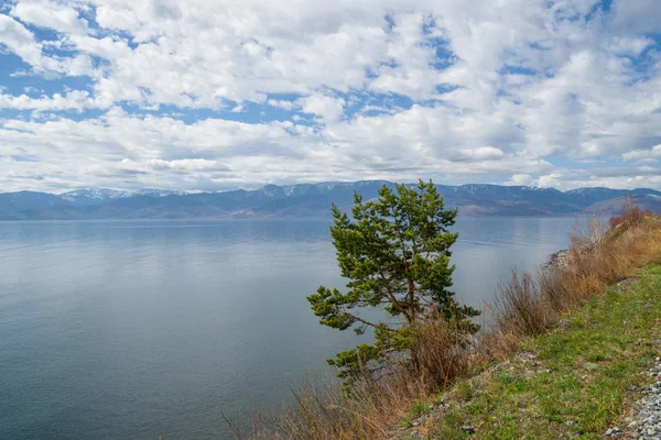 Zomer Circum Baikal Railroad — Stockfoto