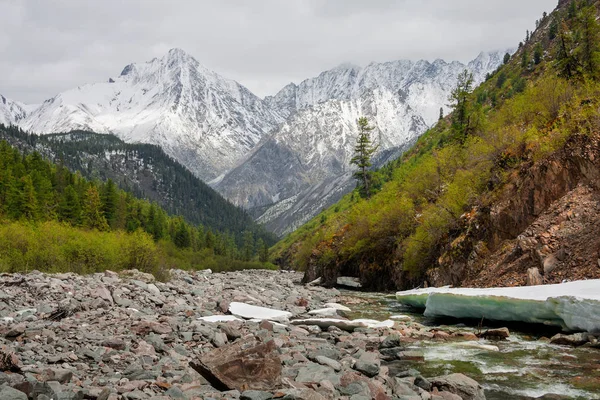 Shumak Flusstal Den Bergen Von Tunkinsky Goltsy Östlichen Sayans Der — Stockfoto