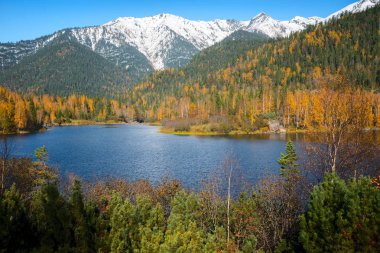 Dağlar aralığı Khamar-Daban Doğu Sibirya'da sonbaharda