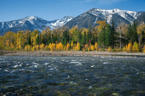 River Snezhnaya Snowy Autumn — Stock Photo, Image