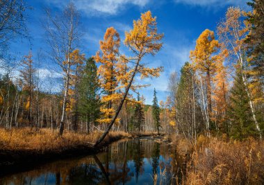 Doğu Sibirya sonbahar nehir olha