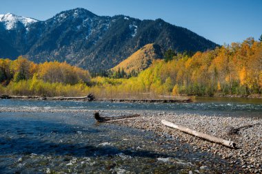 Nehir Snezhnaya (kar) Güz