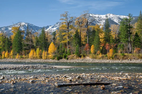 Fluss Snezhnaya Schneebedeckt Herbst — Stockfoto