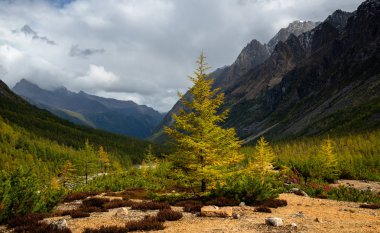 Sonbahar başlangıcı Kodar dağlarda