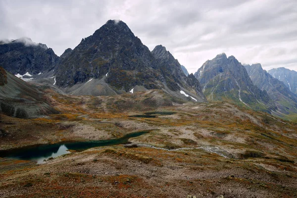 Los Tramos Superiores Del Río Sygikta Transbaikalia Siberia Oriental —  Fotos de Stock