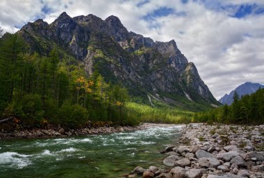 Sibirya, transbaikalia dağlarında kodar Nehri orta sakukan