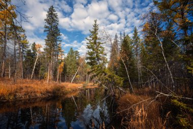 Doğu Sibirya sonbahar nehir olha