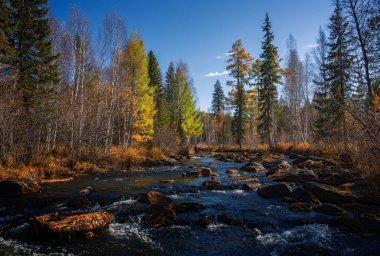 Doğu Sibirya sonbahar nehir olha