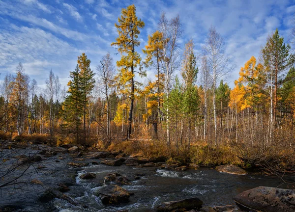 Otoño Río Olha Este Siberia Región Irkutsk — Foto de Stock