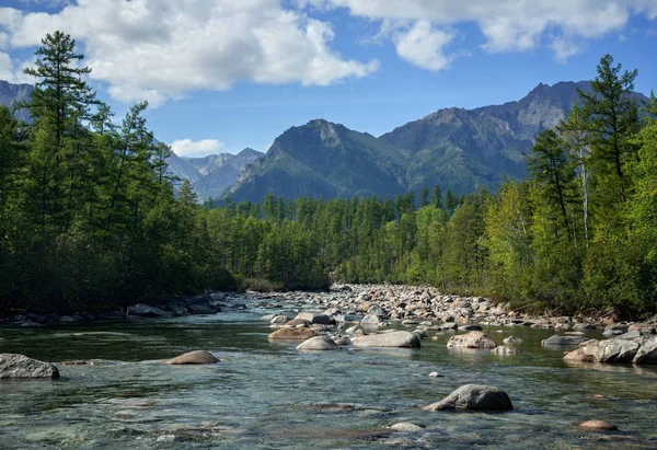 Rio Sakukan Médio Transbaikalia Sibéria Oriental — Fotografia de Stock