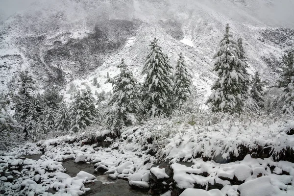 Śnieg Wrześniu Tunkinskie Ridge Eastern Sayan — Zdjęcie stockowe