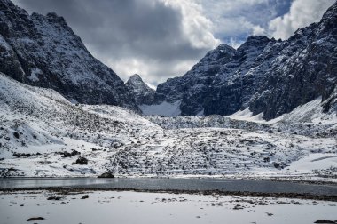 Doğu Sibirya dağ kodar 
