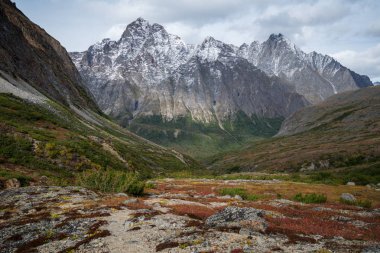 Dağlar Transbaikalia, Doğu Sibirya Kodar aralığı